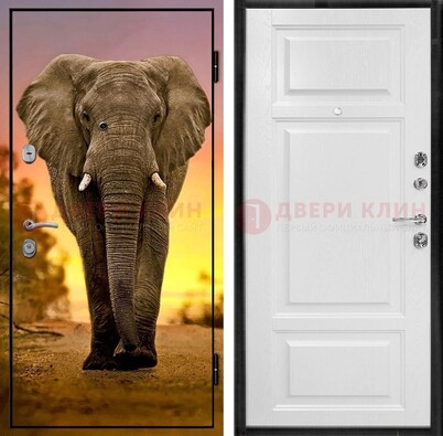 Металлическая дверь с фотопечатью слона ДФ-30 в Петрозаводске