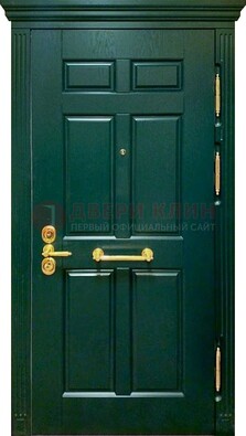 Классическая зеленая дверь с виноритом на улицу ДВТ-248 в Петрозаводске